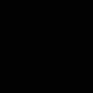 Meet your Posher, Noah